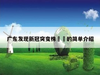 广东发现新冠突变株㊙️的简单介绍