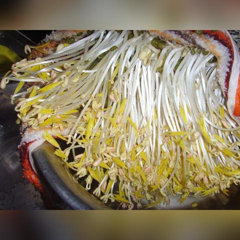 男子用理发店剪子开瓶口被制止，安全与卫生的双重考量